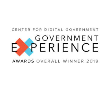 government-experience awards icon